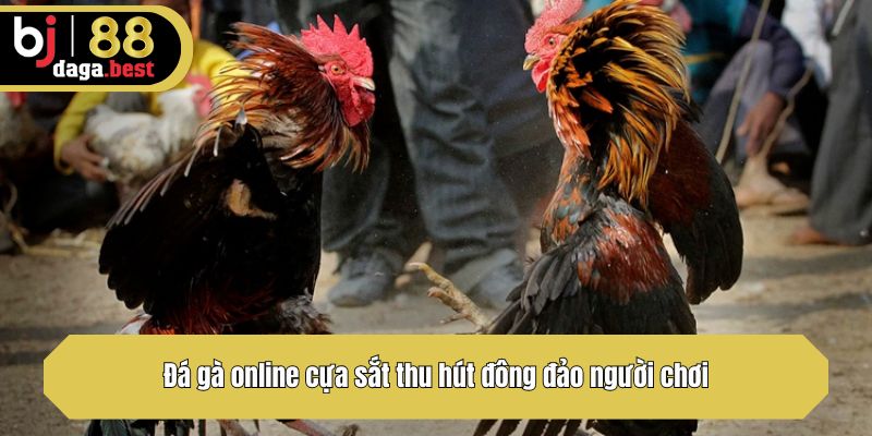 Đá gà online cựa sắt thu hút đông đảo người chơi